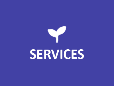 Services button for more information click